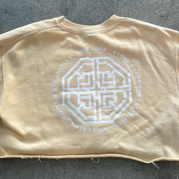 Urban Outfitters cropped graphic sweatshirt. Pale yellow. Kyoto Champions - Picture 3 of 3